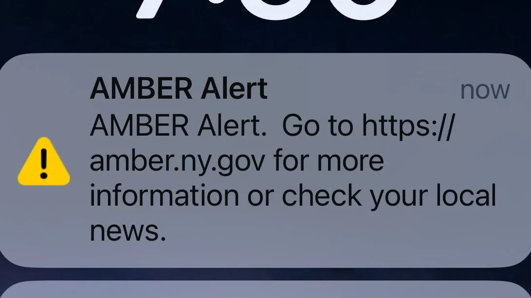 2 women arrested in false kidnapping report of 5-year-old