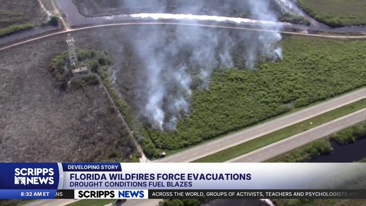 Map shows latest wildfires across Georgia and Florida