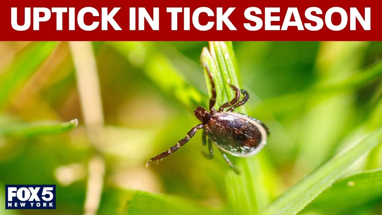 Why this tick season could be the worst in a decade
