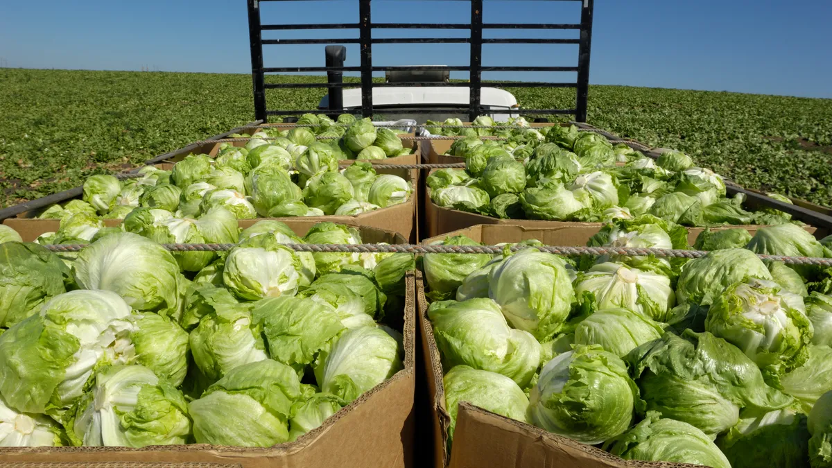 Taylor Farms removes iceberg lettuce sourced from Mexico amid diarrhea outbreak