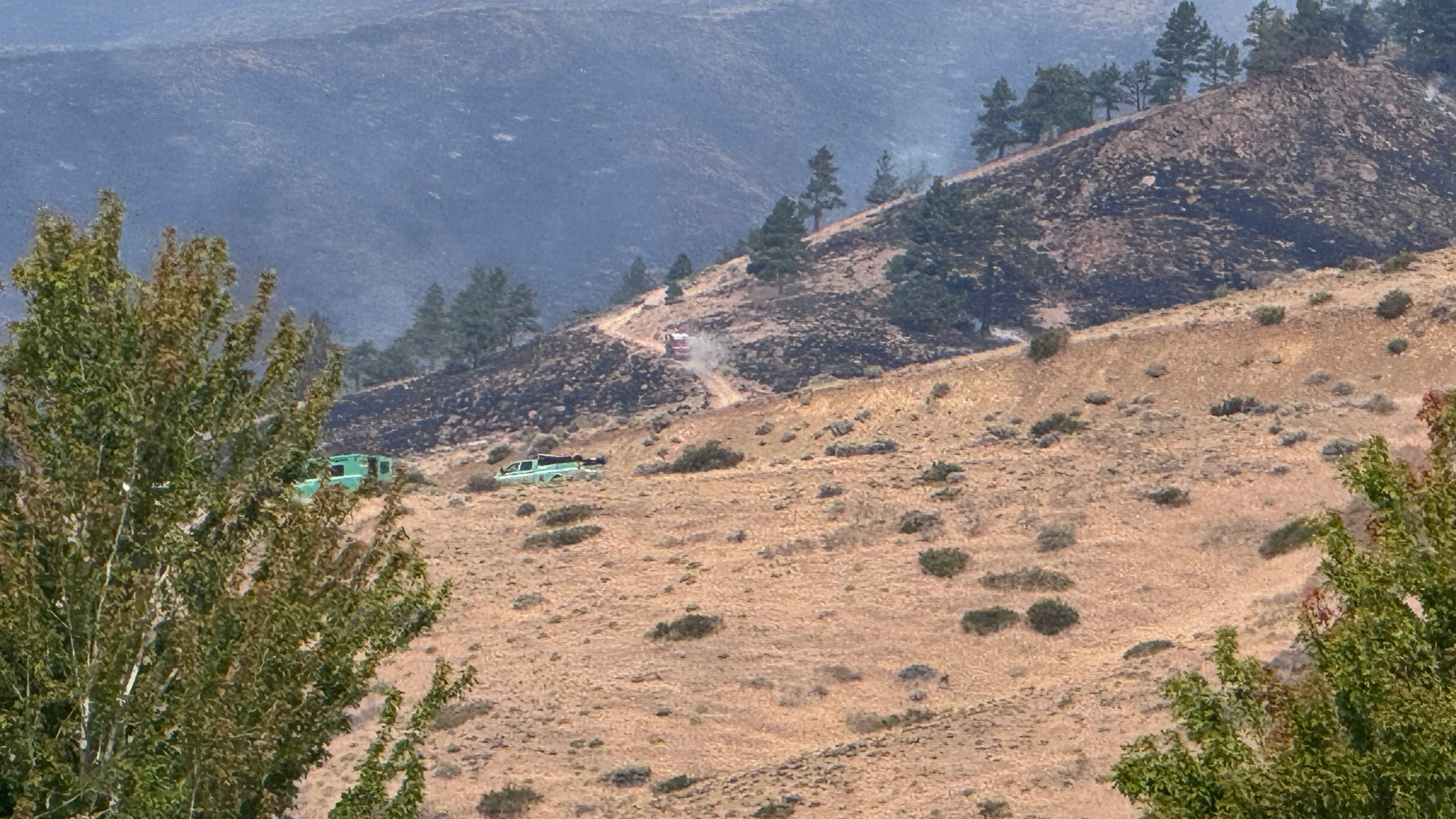 Fast-growing Hawk Fire near Reno triggers mass evacuation orders