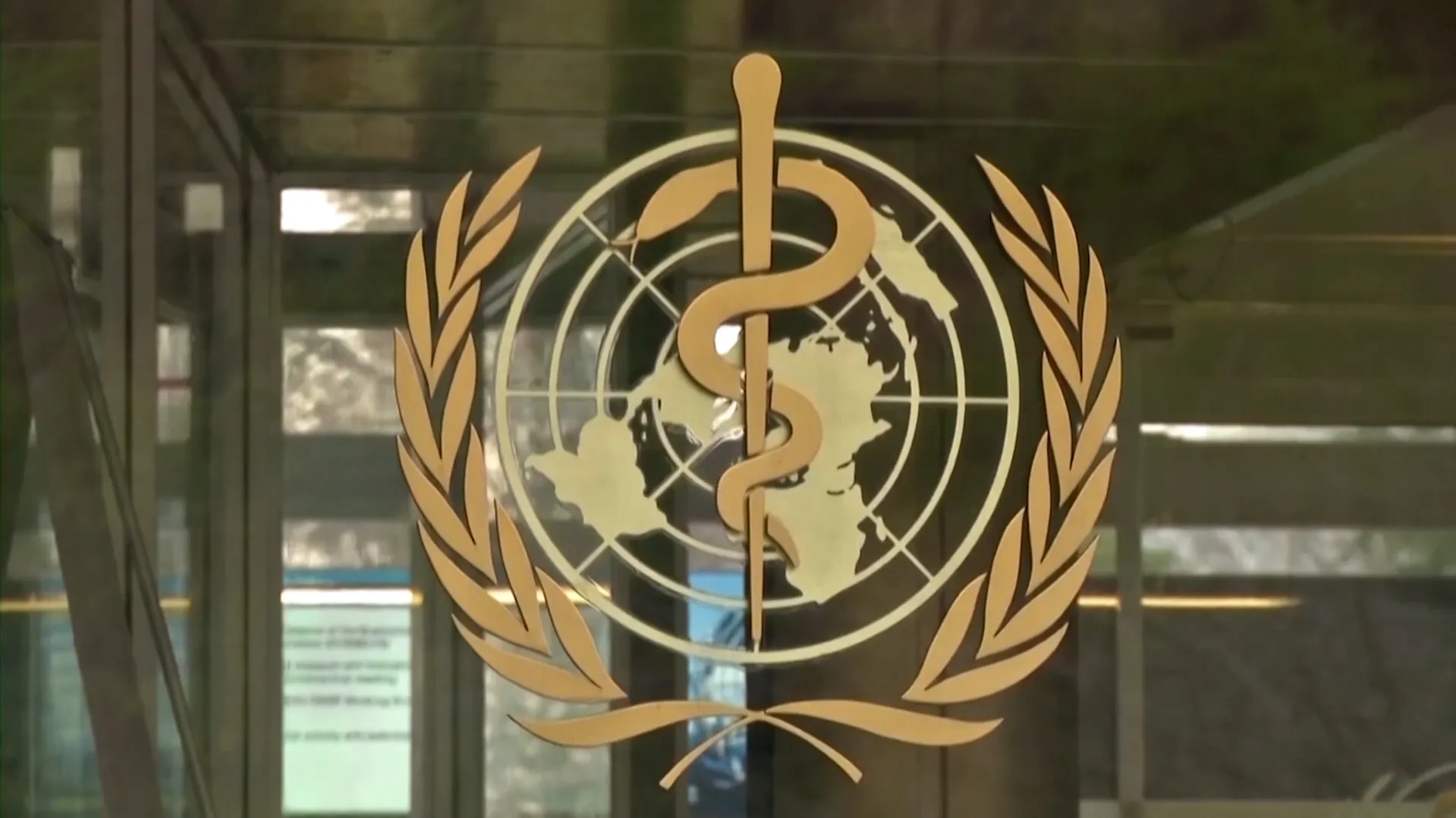Trump, Dr. Oz and the MMR vaccine controversy