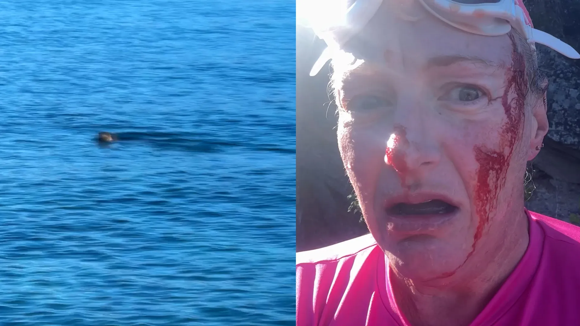 A woman was swimming in Lake Tahoe. Then she 'felt the teeth and claws'