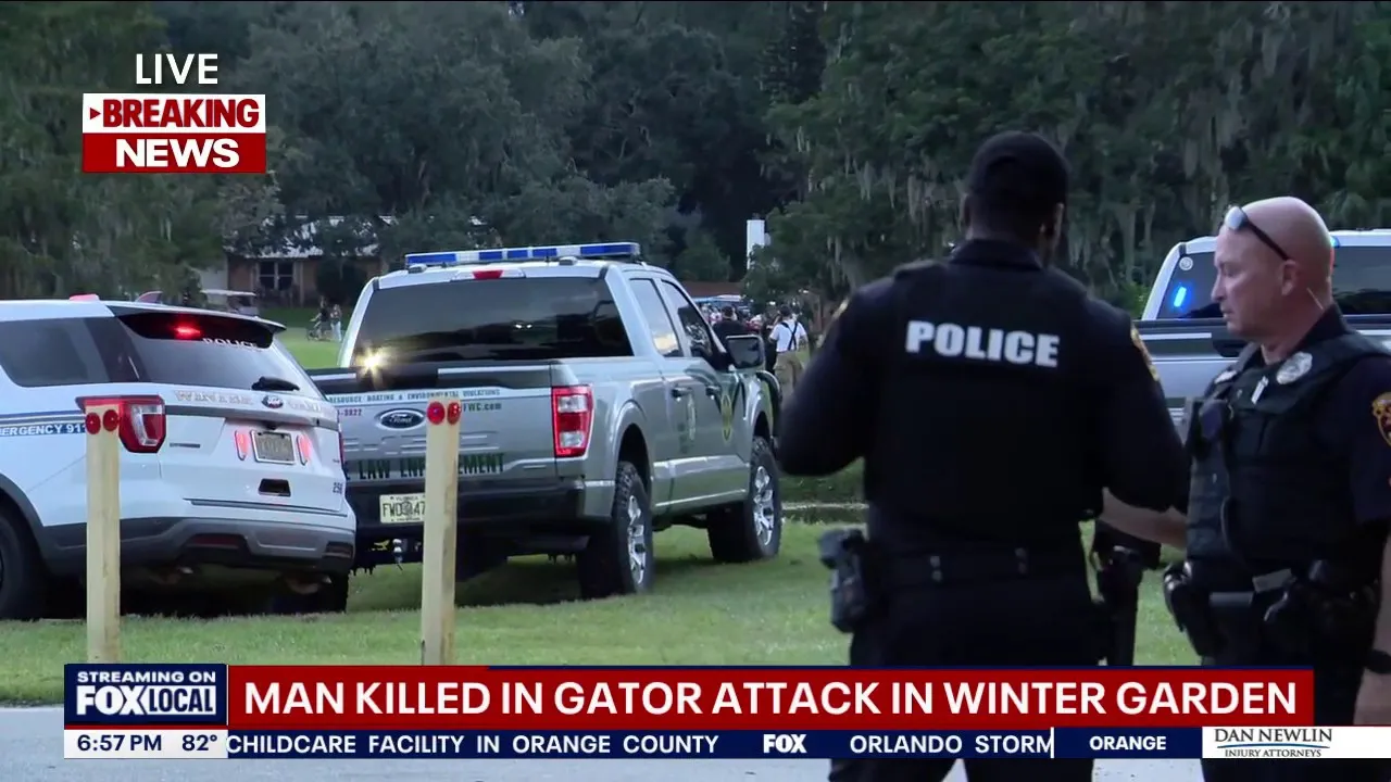 Florida man, 71, fishing in pond dies in alligator attack