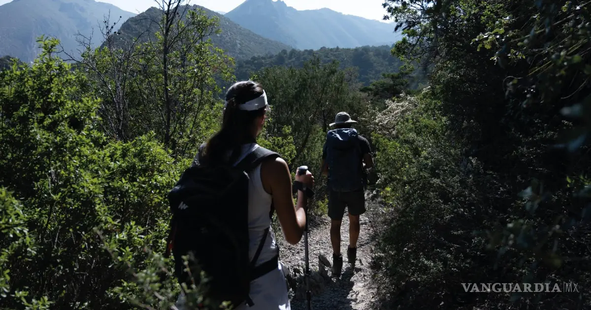 Saltillo: alumnos de UVM recolectan 40 costales de basura en el Cañón de San Lorenzo