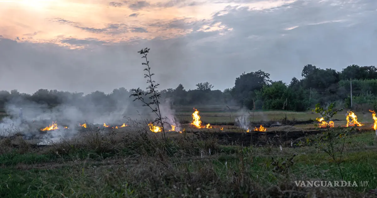 Permanece activo incendio forestal en Candela; registra 35% de control