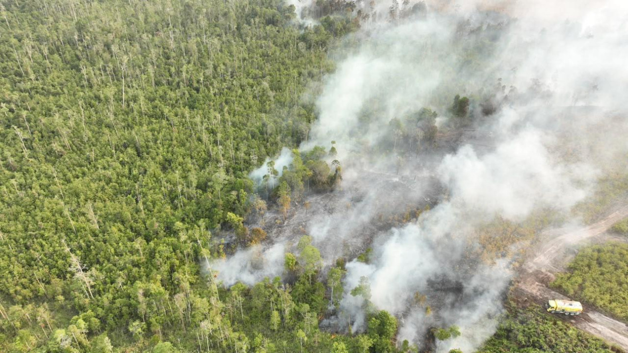 Pemerintah Kasih Izin 35 Pesawat Asing Bantu Penanganan Karhutla di Kalimantan