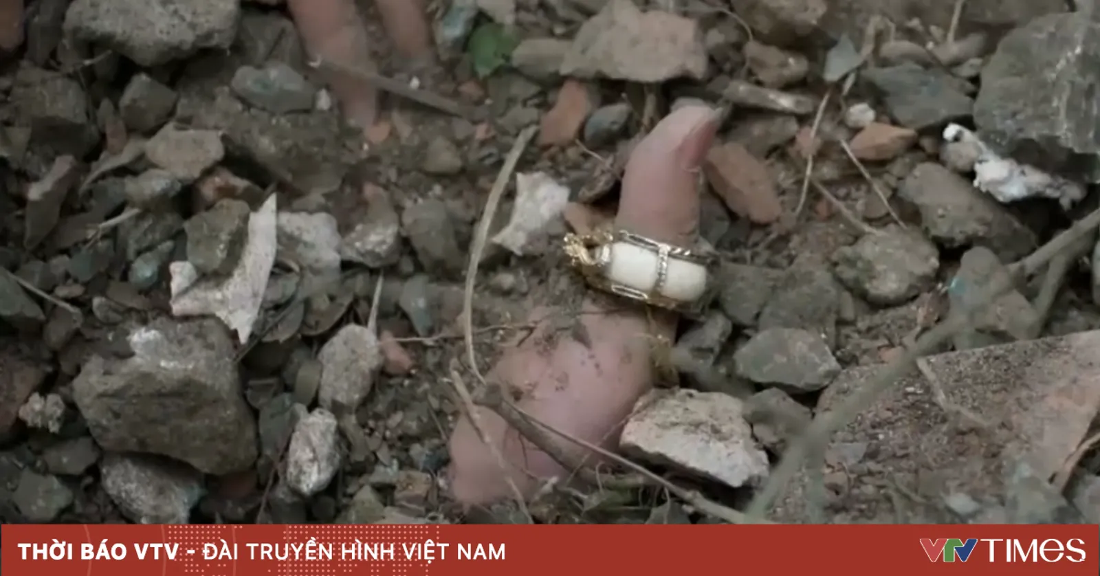 Lửa trắng - Tập 3: "Người đưa tin" của công an bị Viên vượn sát hại