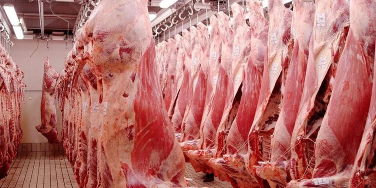 Inflation en Tunisie : La viande et les légumes tirent les prix vers le haut