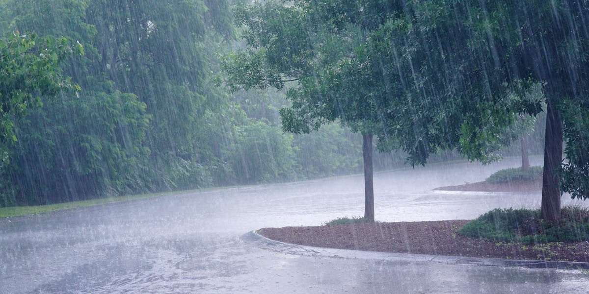 Tunisie : En ce mois de juin, des quantités exceptionnelles de pluie enregistrées en 24h