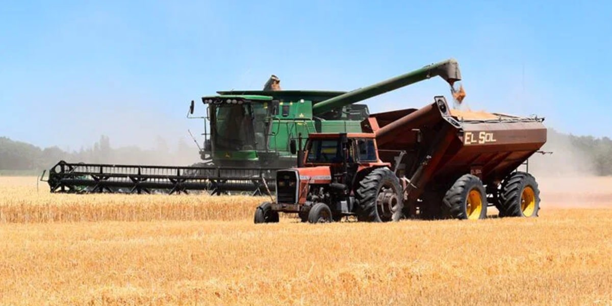 Céréales : Vers l’une des meilleures récoltes de ces dernières années