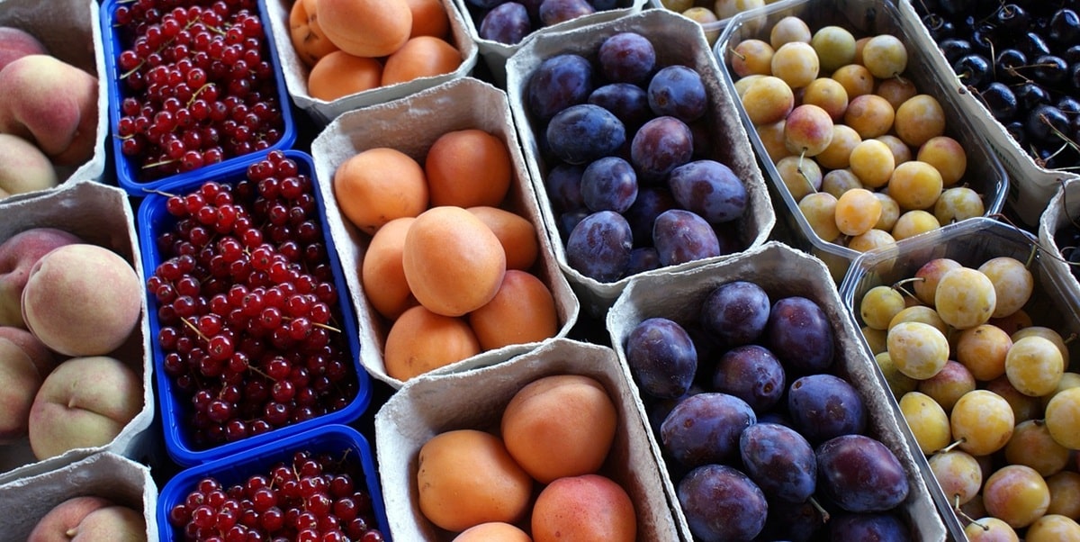 Pourquoi les fruits et légumes tunisiens séduisent de plus en plus l’Italie