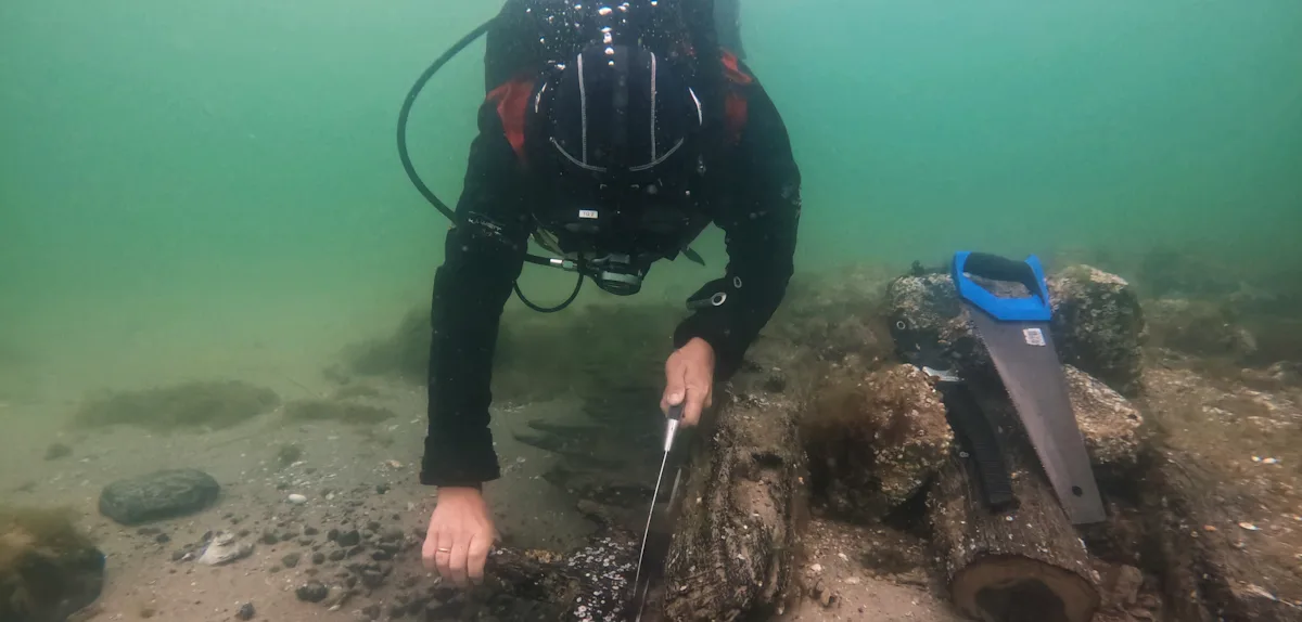 So verlor Schweden seine Hegemonie über die Ostsee