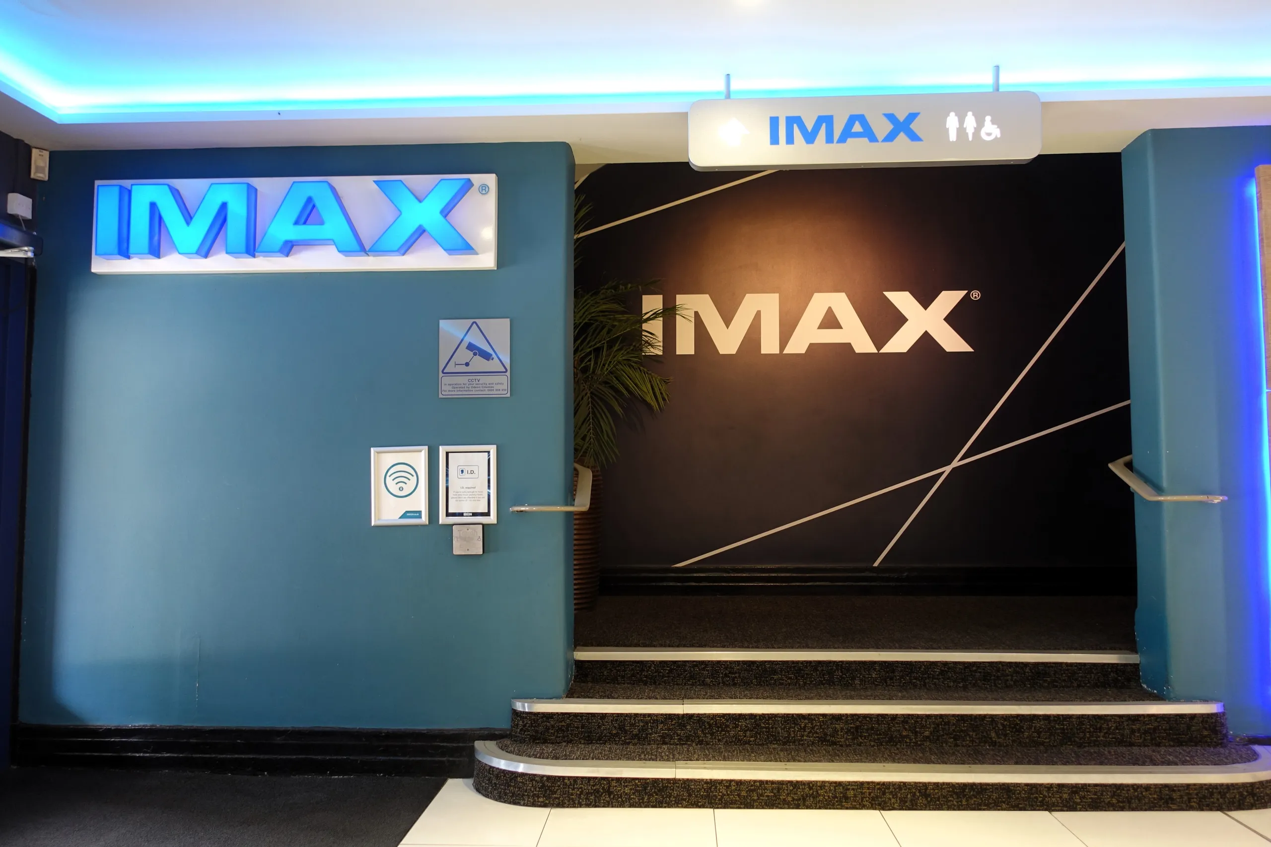 The Odyssey Was Made for Imax 70mm. Good Luck Watching It That Way