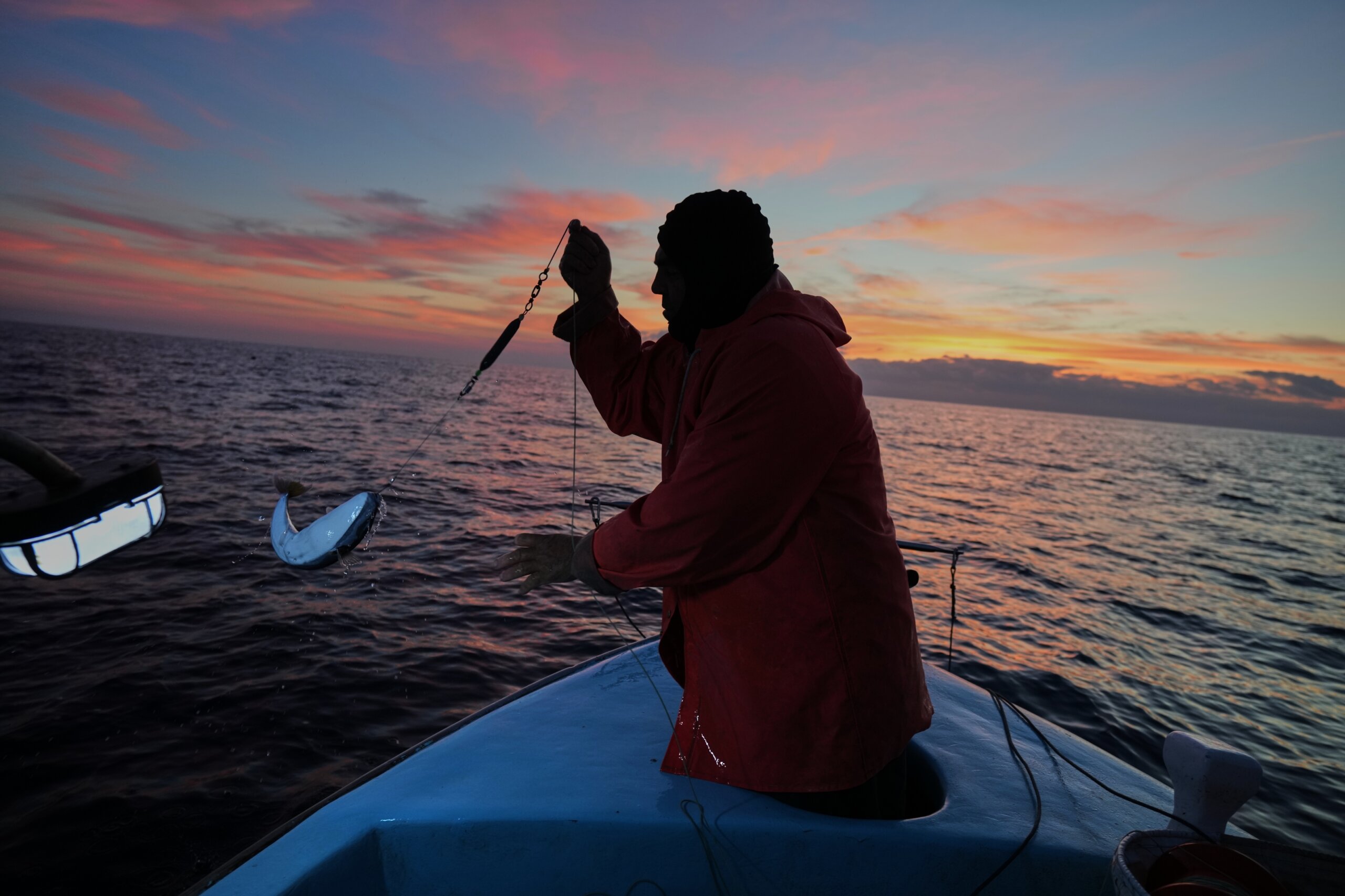 Cypriot fishermen battle invasive lionfish and turn them into a tavern delicacy