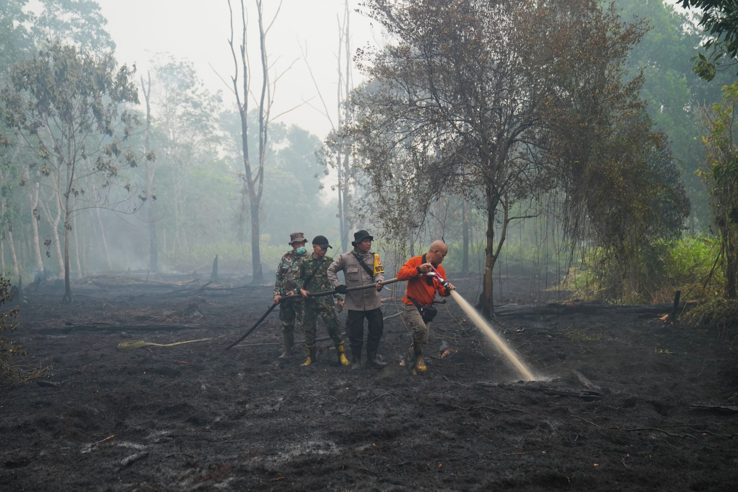 This year's El Nino-driven heat could cause nearly half a million more deaths, group says