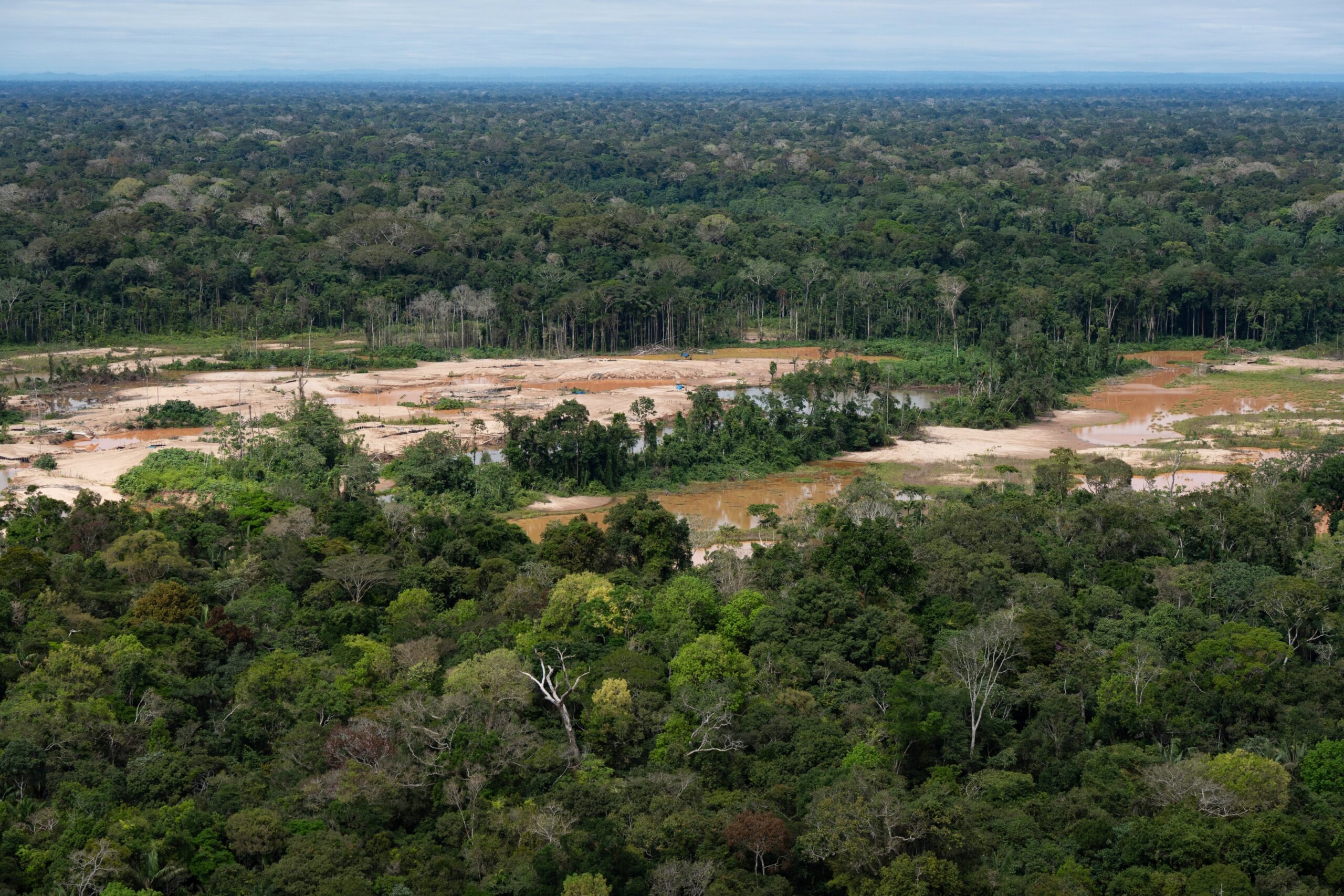 Criminal networks threaten the Amazon. Indigenous leaders want the UN to act