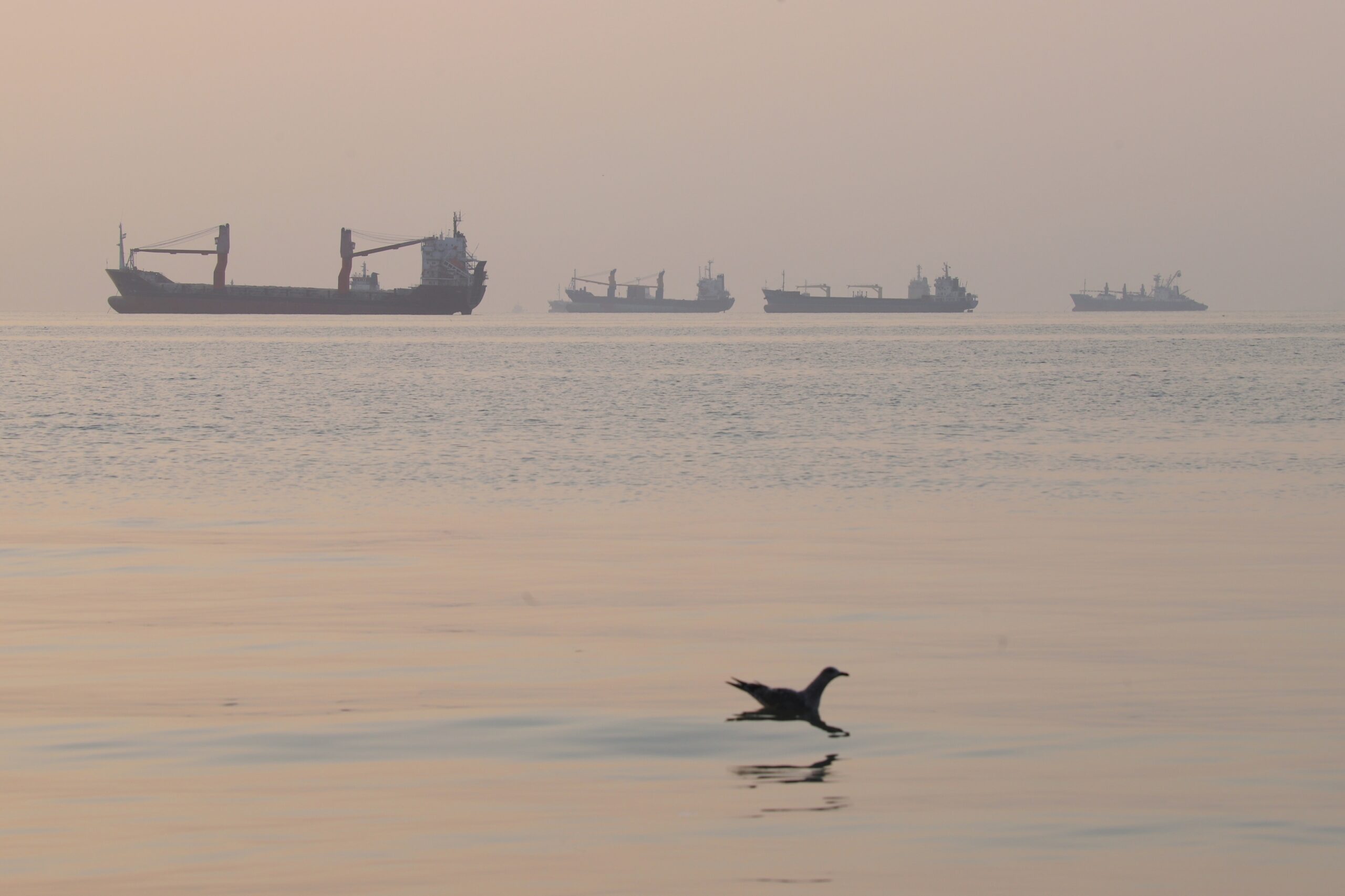 Iran says 3 oil tankers struck mines in the Strait of Hormuz