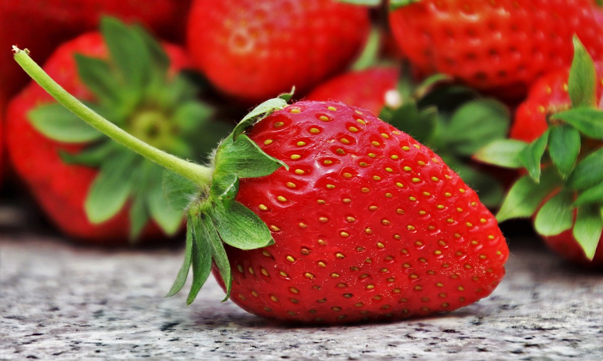 The Strawberry Is a Frankenfruit