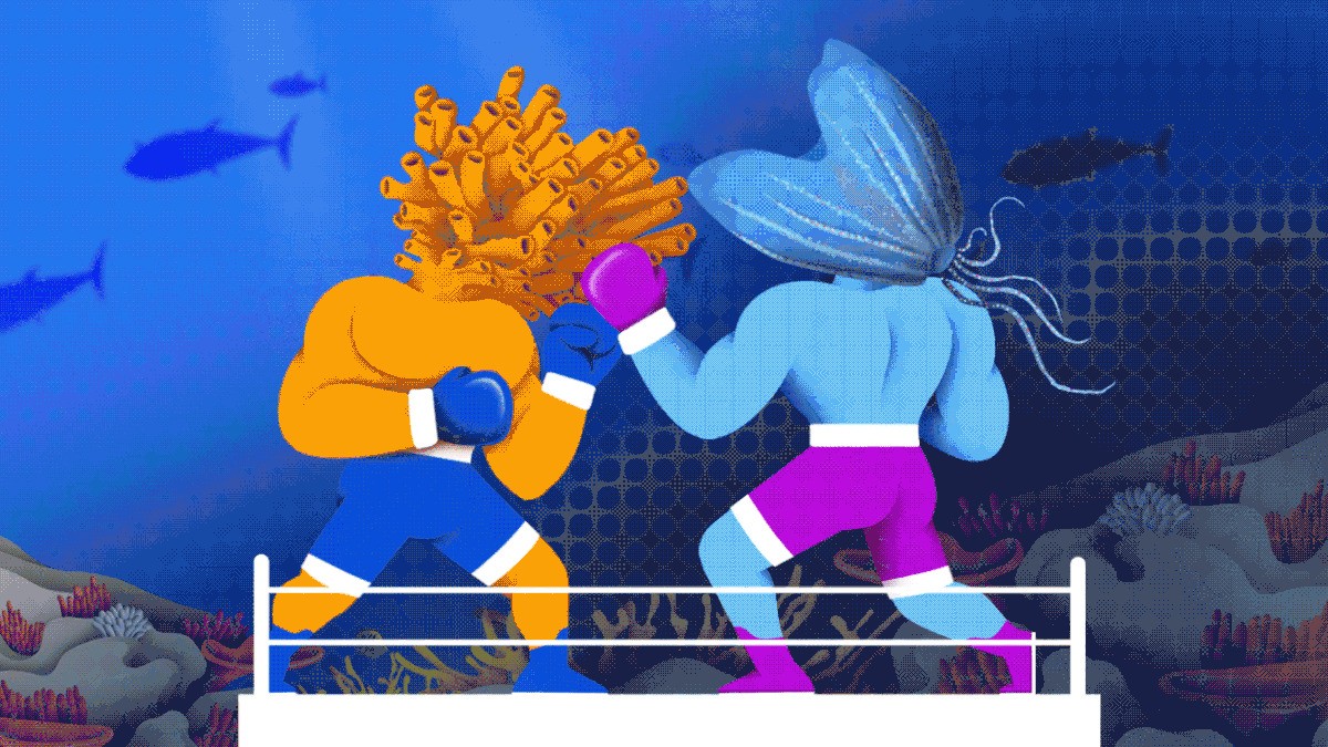 What were the first animals? The fierce sponge–jelly battle that just won’t end