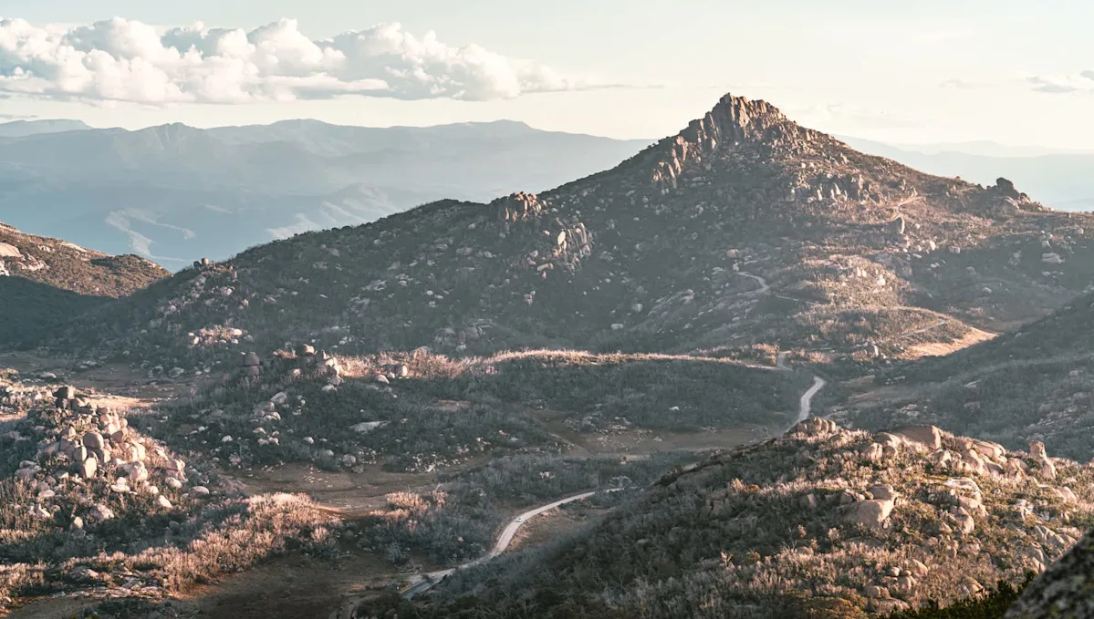 Scientists launch groundbreaking experiment tracking flying creatures: 'The very first time this has ever been tried'