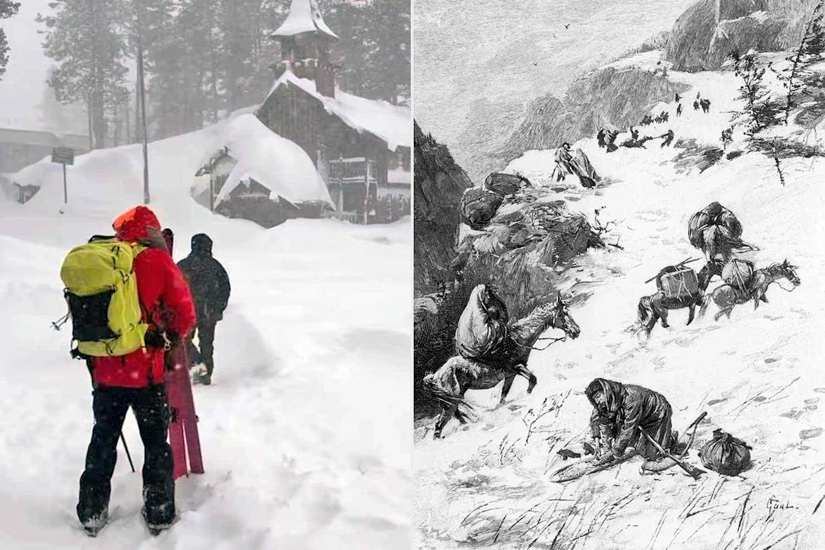 Avalanche Survivor Was Reading Book About Another Snow Disaster Days Before Tragedy That Killed 9 Skiers