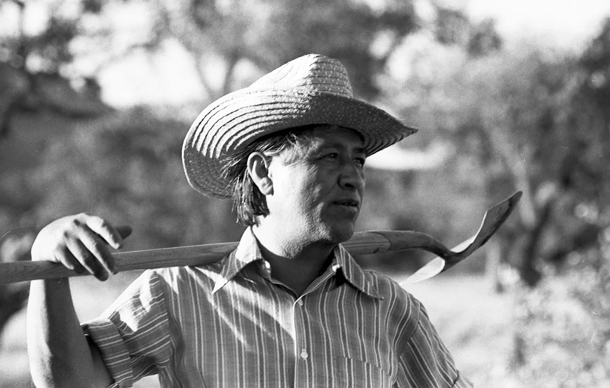 Cesar Chavez abuse allegations spur a movement to disavow the man — without erasing Latino history
