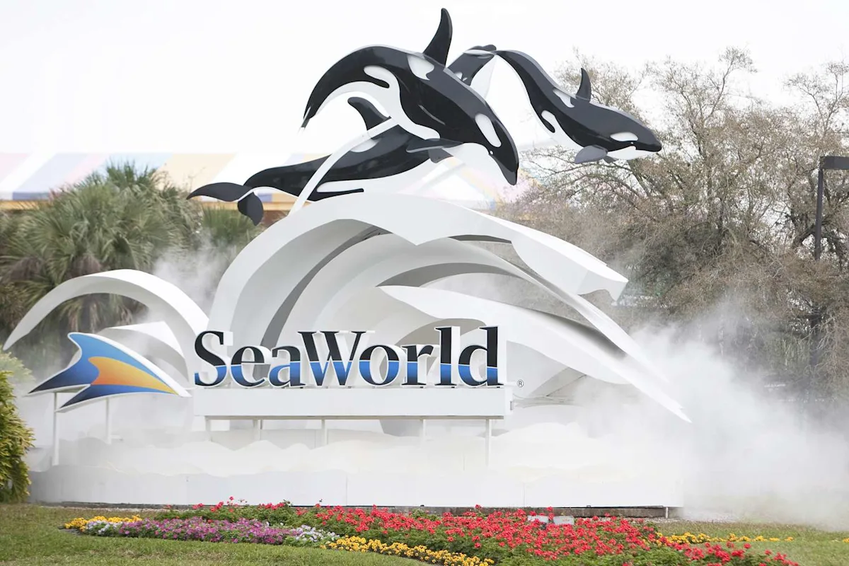 SeaWorld Sued by Justice Department Over Alleged Discrimination Against Disabled Visitors