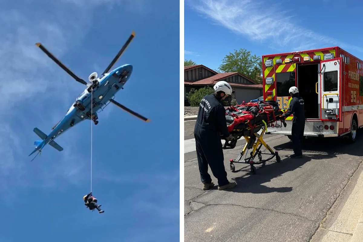 Hiker airlifted off Arizona mountain after being stung over 100 times by bees