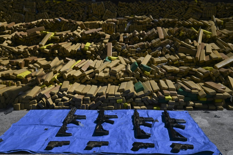 Brazilian police dog sniffs out 48 tons of marijuana in record bust