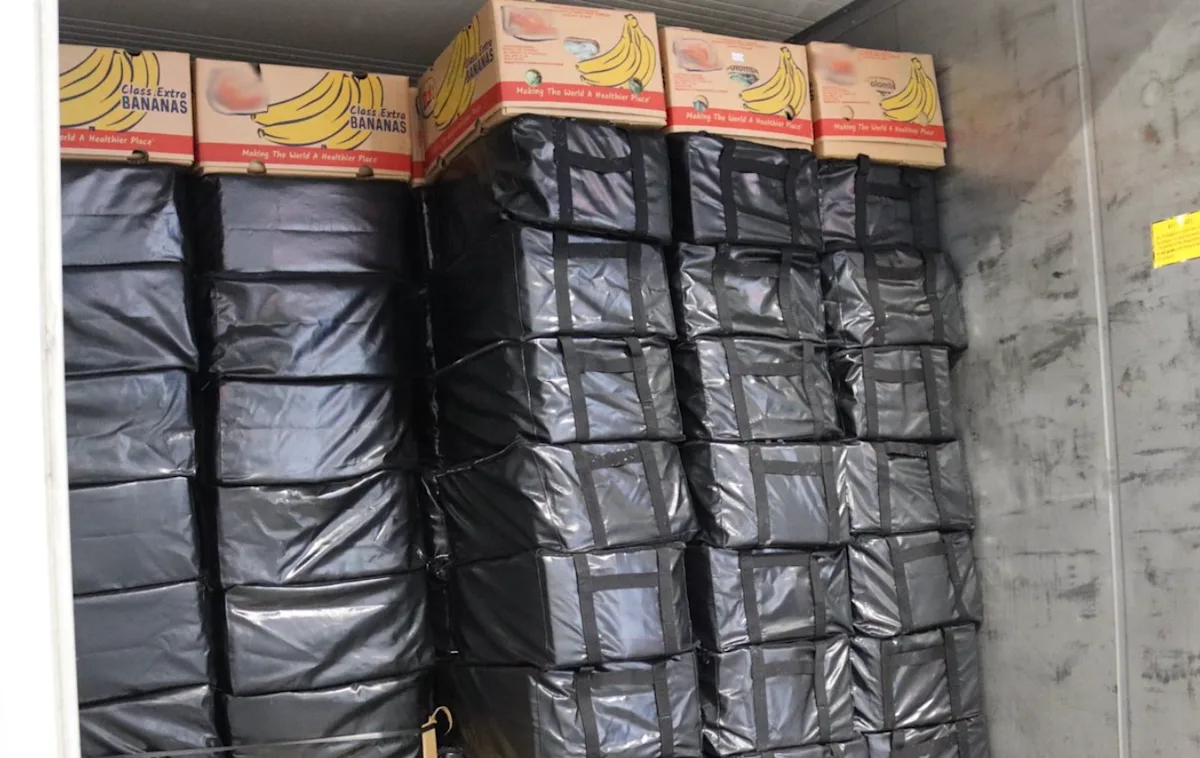 Authorities seize 5 tons of cocaine from banana, wine shipments