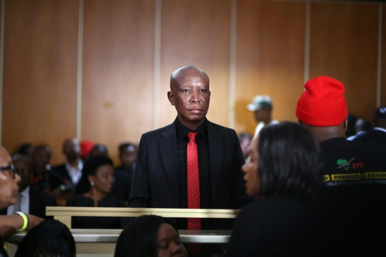 S.African left-wing leader sentenced to jail term on gun charges