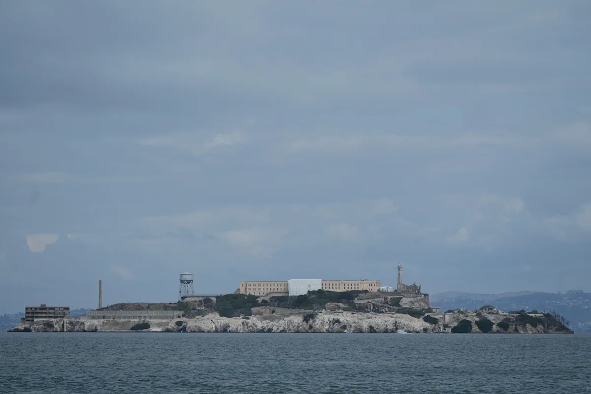 Male coyote swam 2 miles to Alcatraz Island, twice as far as biologists had expected
