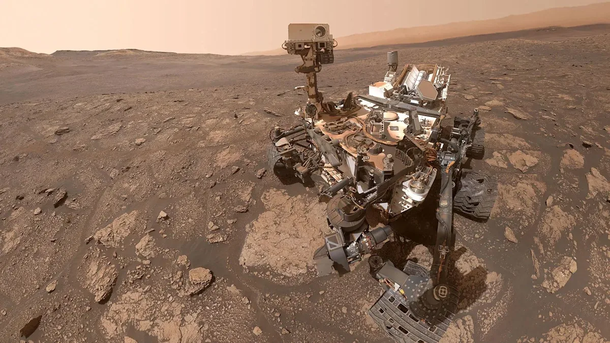 Fungal strains in space spark worry