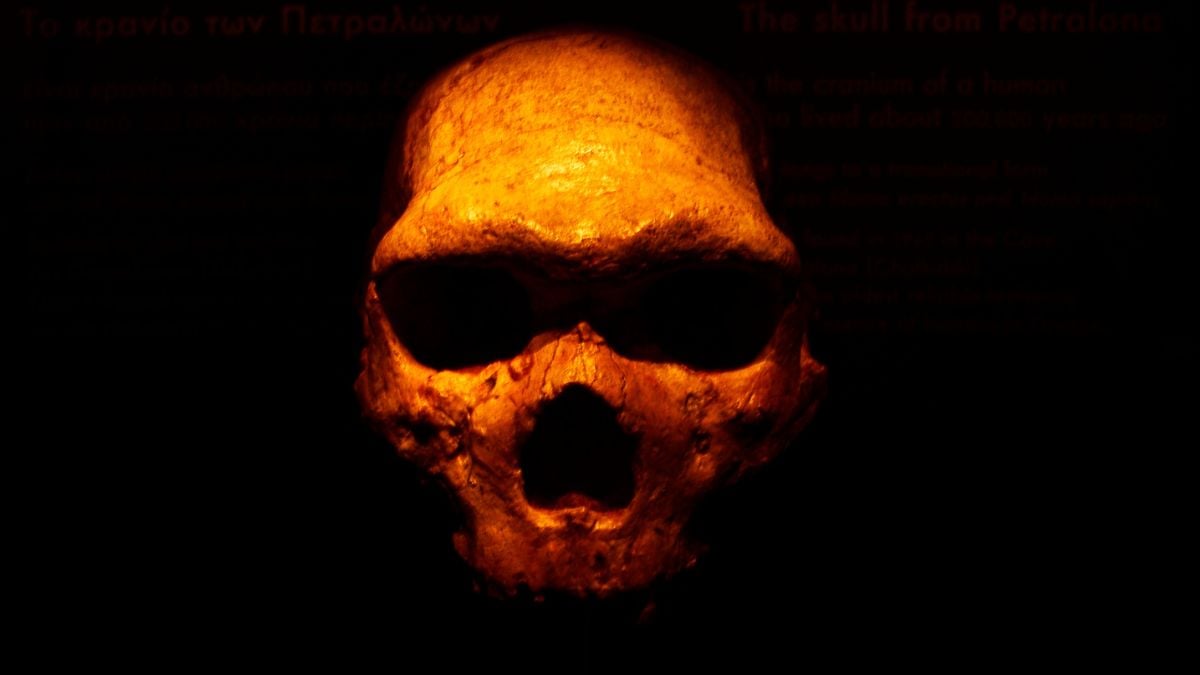 A Radical Innovation Helped Archaic Humans Survive a Harsh Ice Age