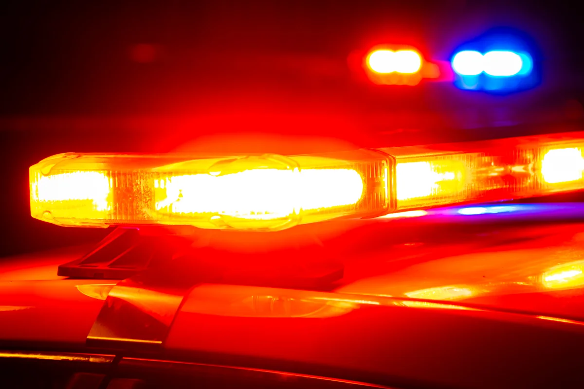 Body found during search for missing South Carolina woman