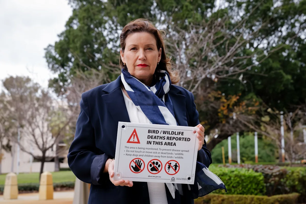Highly contagious bird flu found in Australia for the first time