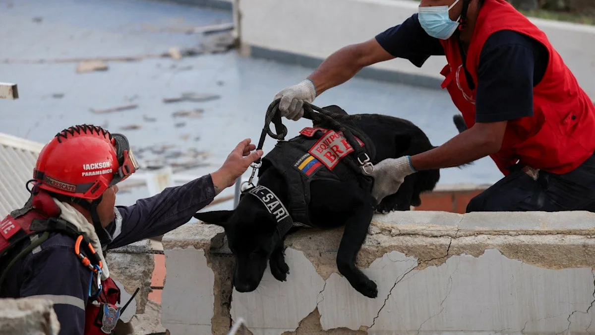 American rescue teams pull infant alive from rubble in Venezuela days after devastating twin earthquakes