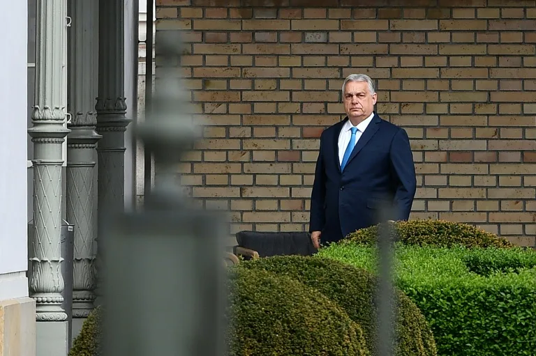 Magyar's blitz against Orban's Hungary 'mafia' gathers pace