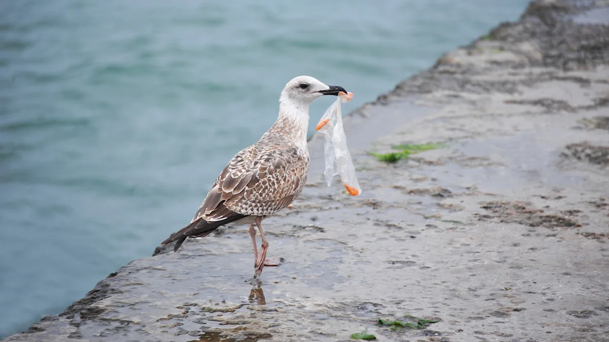 Heartbreaking photos reveal devastating toll plastic pollution is taking on seabirds