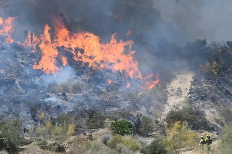 Los bomberos logran controlar el mortífero incendio de España