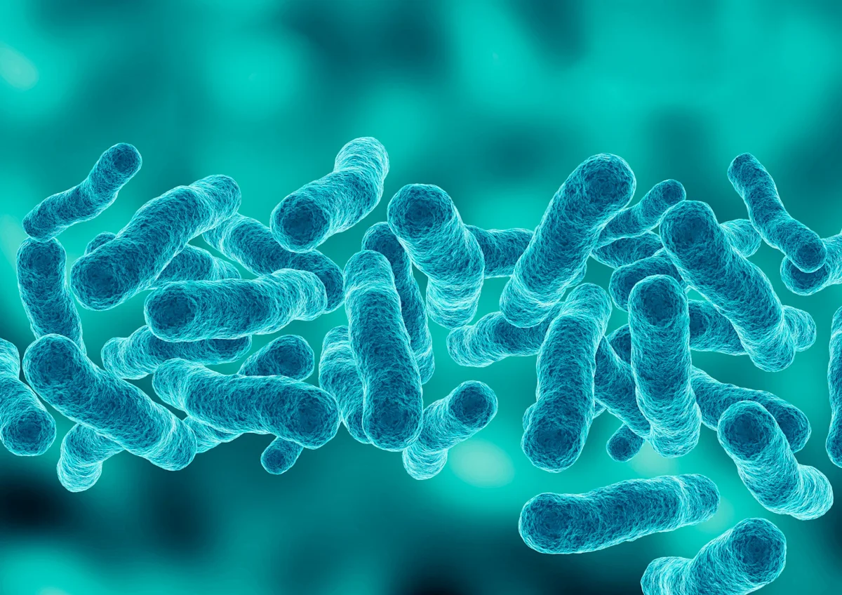 Guggenheim among NYC buildings with Legionella found in cooling towers