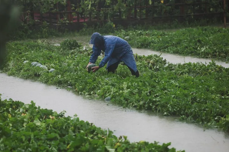 Typhoon Bavi batters eastern China, threatens days of heavy rain