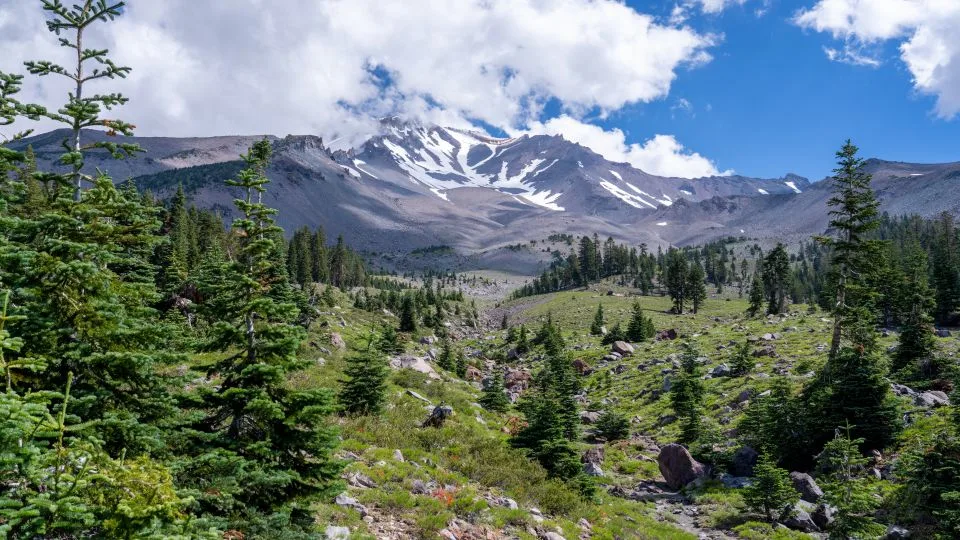2 federal workers were held hostage at gunpoint for hours in a California forest. A father and son are the accused kidnappers