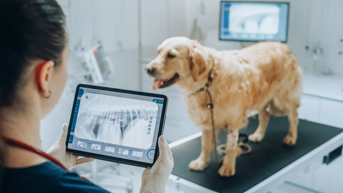 What AI is really doing at your pet's next vet visit, according to the AVMA's...