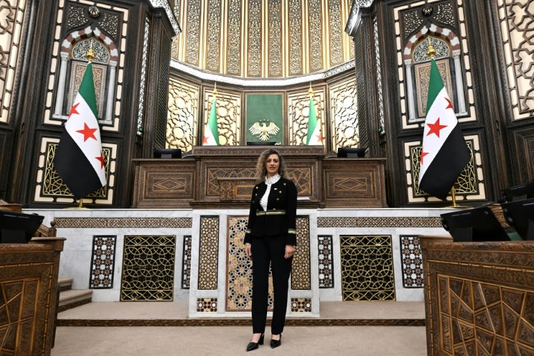 Actress, engineer, jihadist's widow among Syria's new women MPs