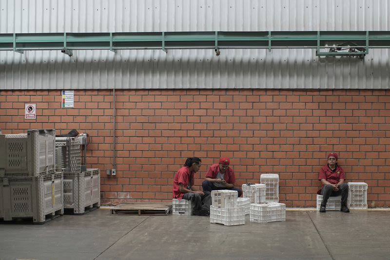US to partially restart activities in Mexico's avocado hub