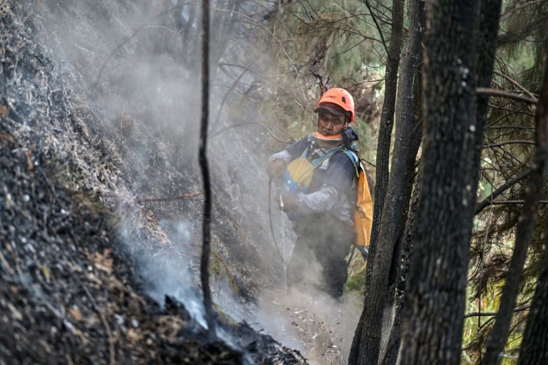 Schools closed as Indonesia battles wildfires