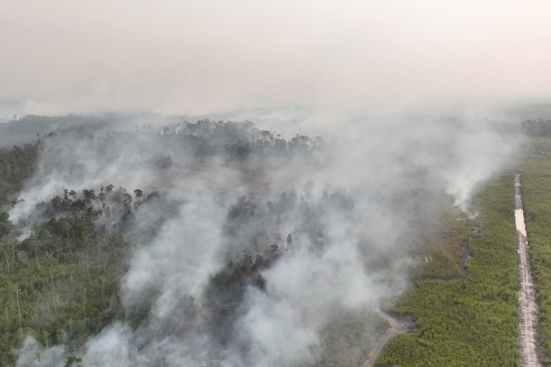 Indonesian police arrest 72 people suspected of starting forest fires