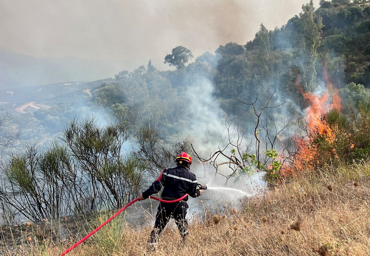 Algeria's president seeks death penalty for intentional forest fire starters